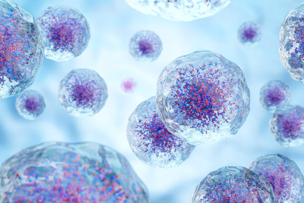 apoptosis suicidio celular