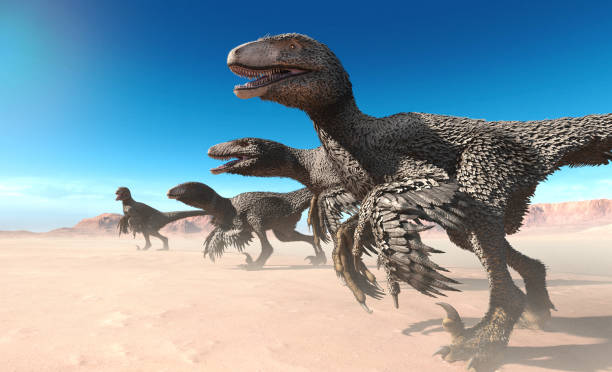 dinosaurios plumas homeotermos