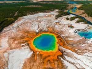 arqueas evolucion bacterias