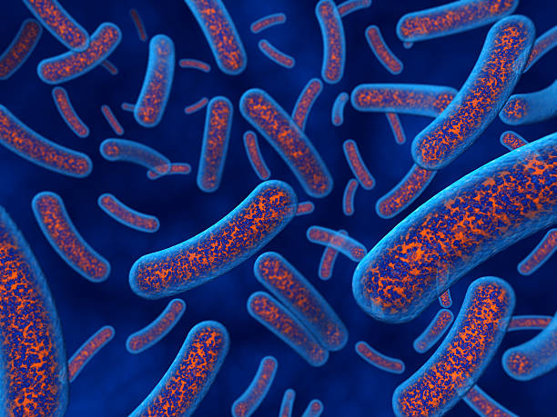 hipertermofilos bacterias calor extremo