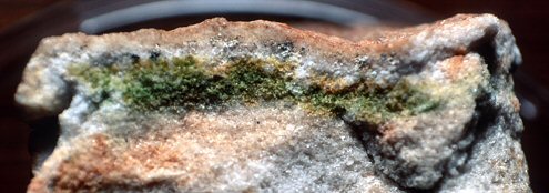 Endolitos: Microorganismos en el Interior de las Rocas