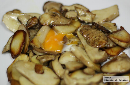 Dónde y Cómo Encontrar Boletus