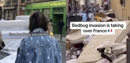 chinches y plaga en París