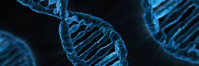 Mutaciones Genéticas: ¿Qué son y Por qué Son  Claves en la Evolución?