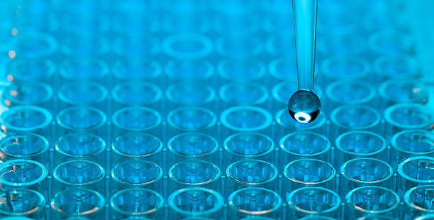 PCR: Qué es y cómo funciona