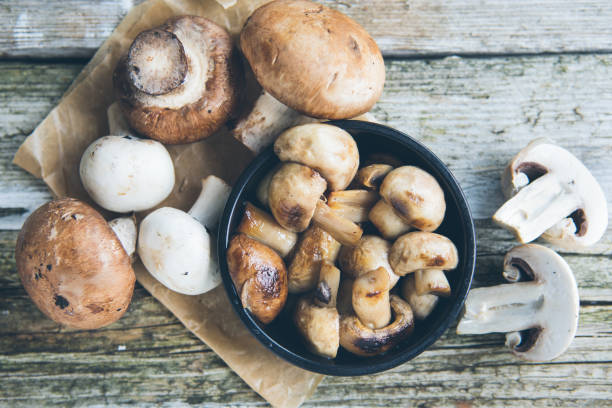 champiñones agaricus bisporus