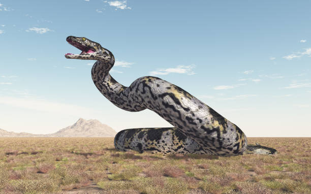 Titanoboa serpiente gigante prehistoria