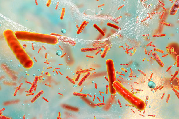 Diferencias entre arqueas y bacterias