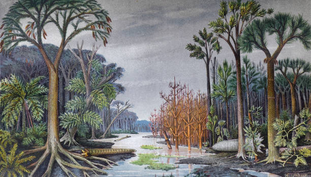 Lepidodendron: El Árbol Escamoso del Carbonífero