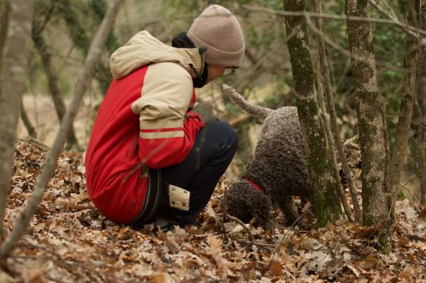 El Oro Negro: Trufa Negra, el Diamante de la Cocina