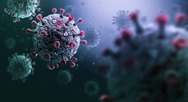 PCR: Qué es y cómo funciona