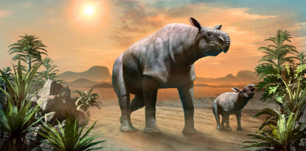 Paraceratherium: el gigante que conecta el pasado con los rinocerontes de hoy