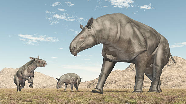 Paraceratherium: el gigante que conecta el pasado con los rinocerontes de hoy
