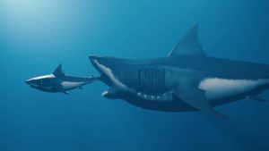 Otodus Megalodon: cuanto medía realmente